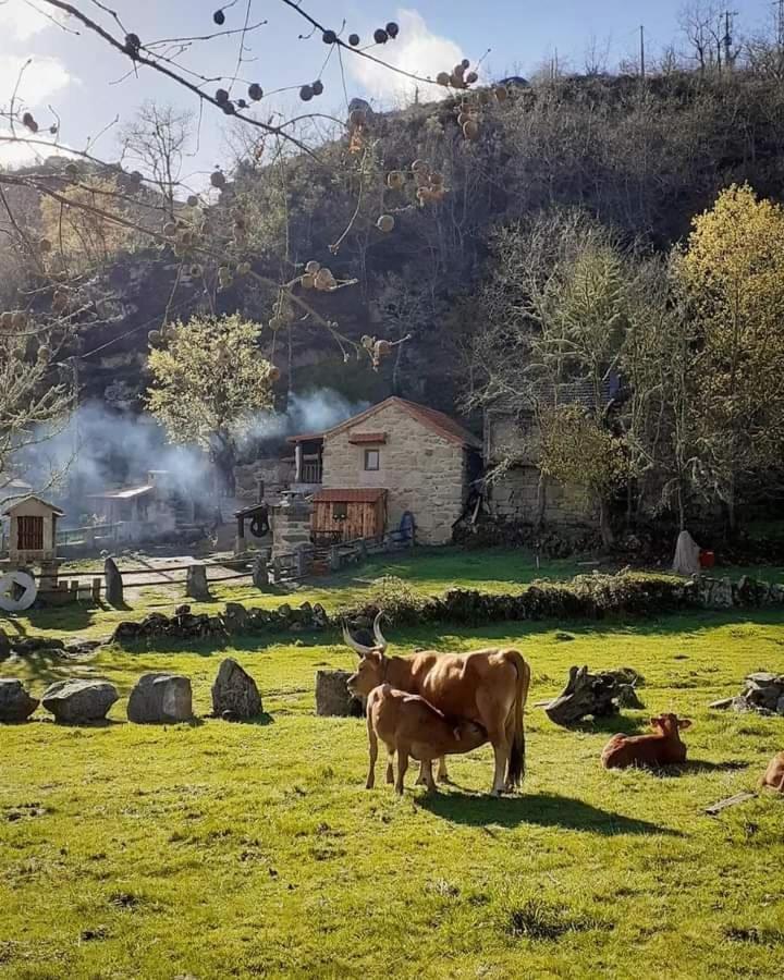 Aldeia De Pontes - Castro Laboreiro Bagian luar foto